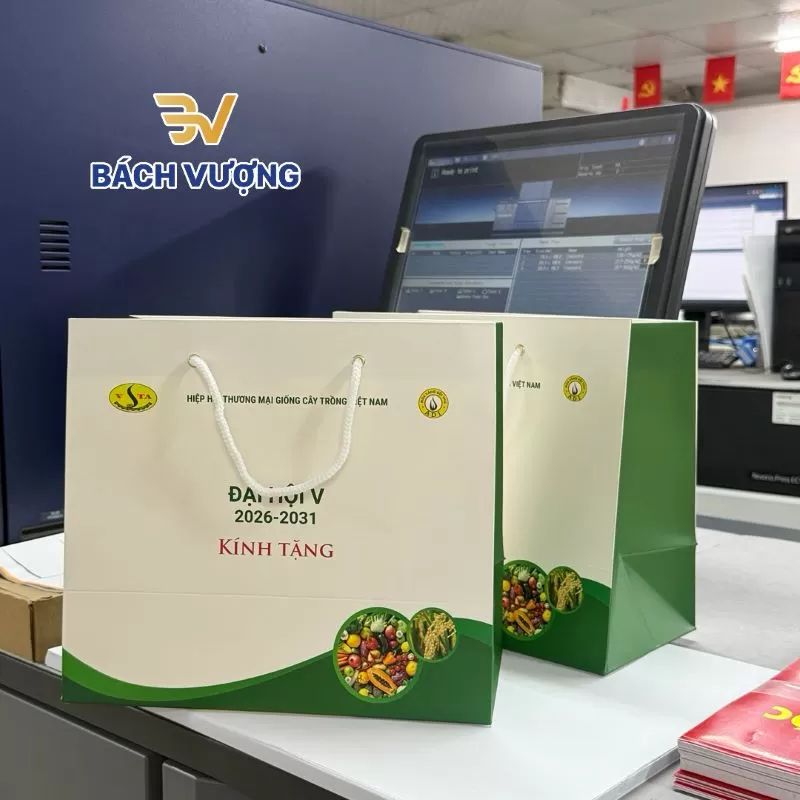 B&aacute;ch Vượng - Xưởng in t&uacute;i giấy chuy&ecirc;n nghiệp tại H&agrave; Nội