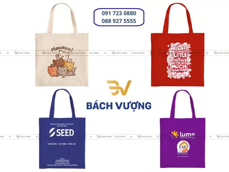 In túi vải canvas theo yêu cầu - Bách Vượng