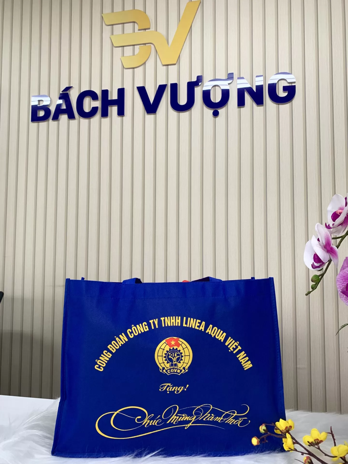 t&uacute;i vải kh&ocirc;ng dệt in sắc n&eacute;t 
