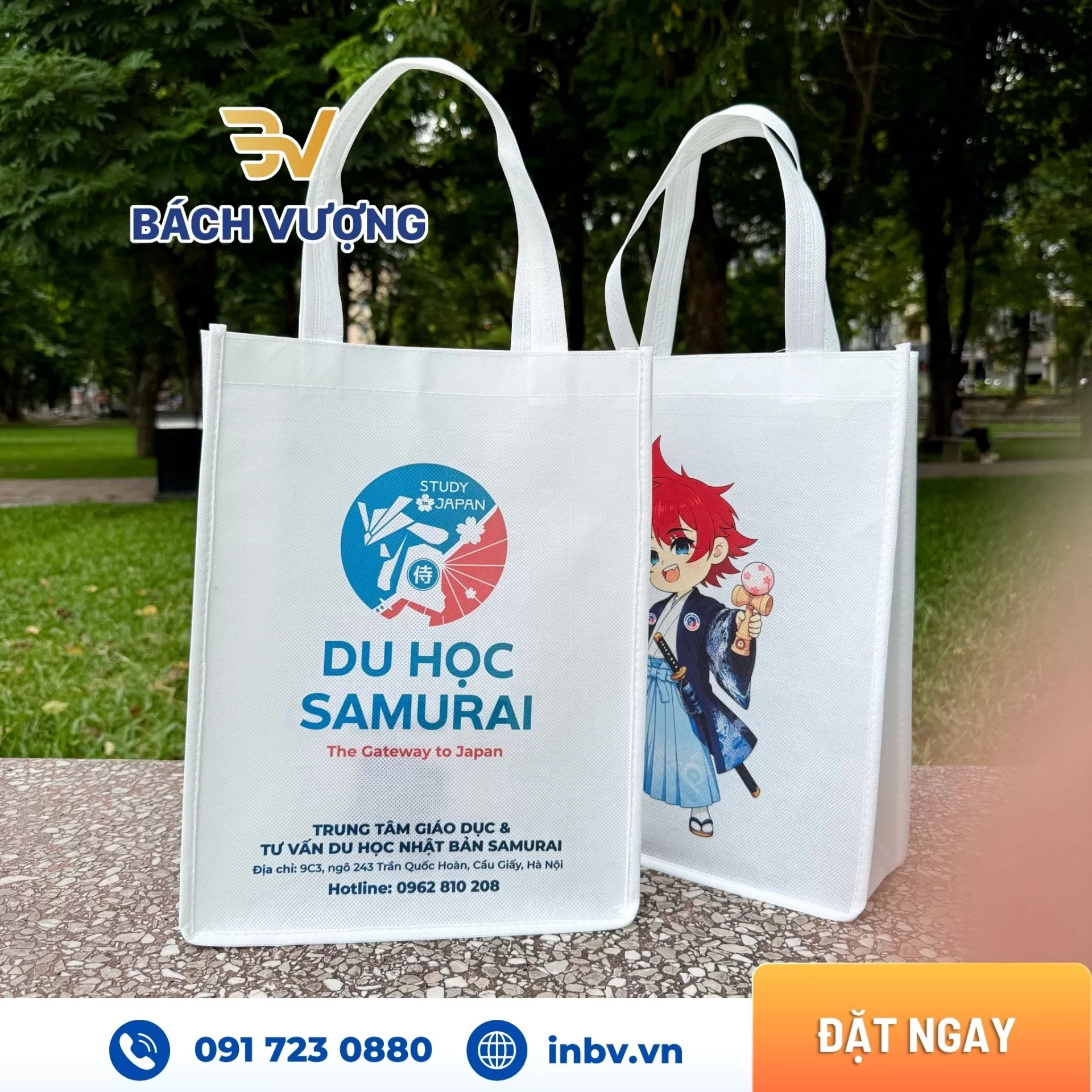 in t&uacute;i vải kh&ocirc;ng dệt in pet