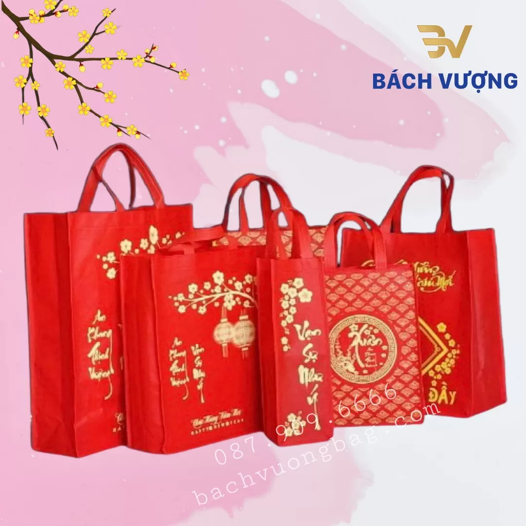 c&aacute;c mẫu t&uacute;i vải kh&ocirc;ng dệt đựng qu&agrave; tết 