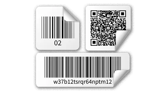 In tem dữ liệu biến đổi