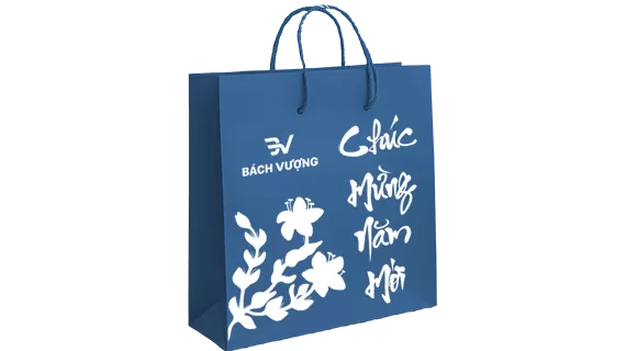 in túi đựng quà tết