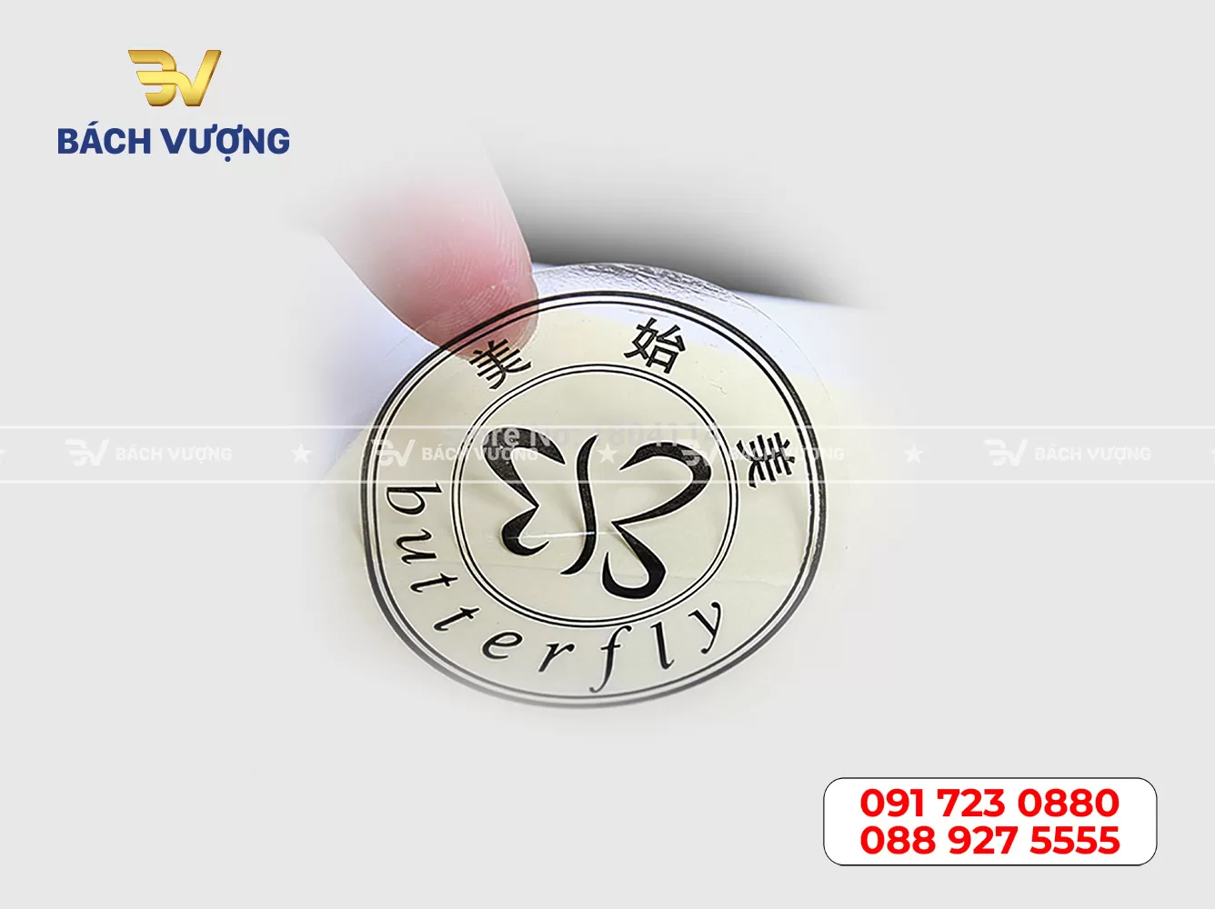 Mẫu decal nhựa trong 08