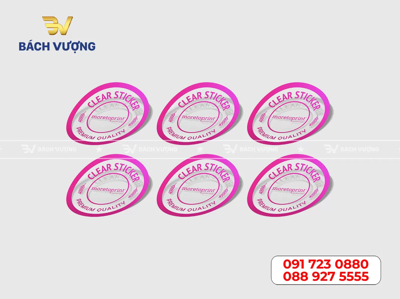 Mẫu decal nhựa trong 08