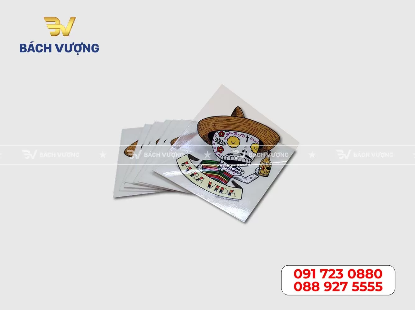 Mẫu decal nhựa trong 07