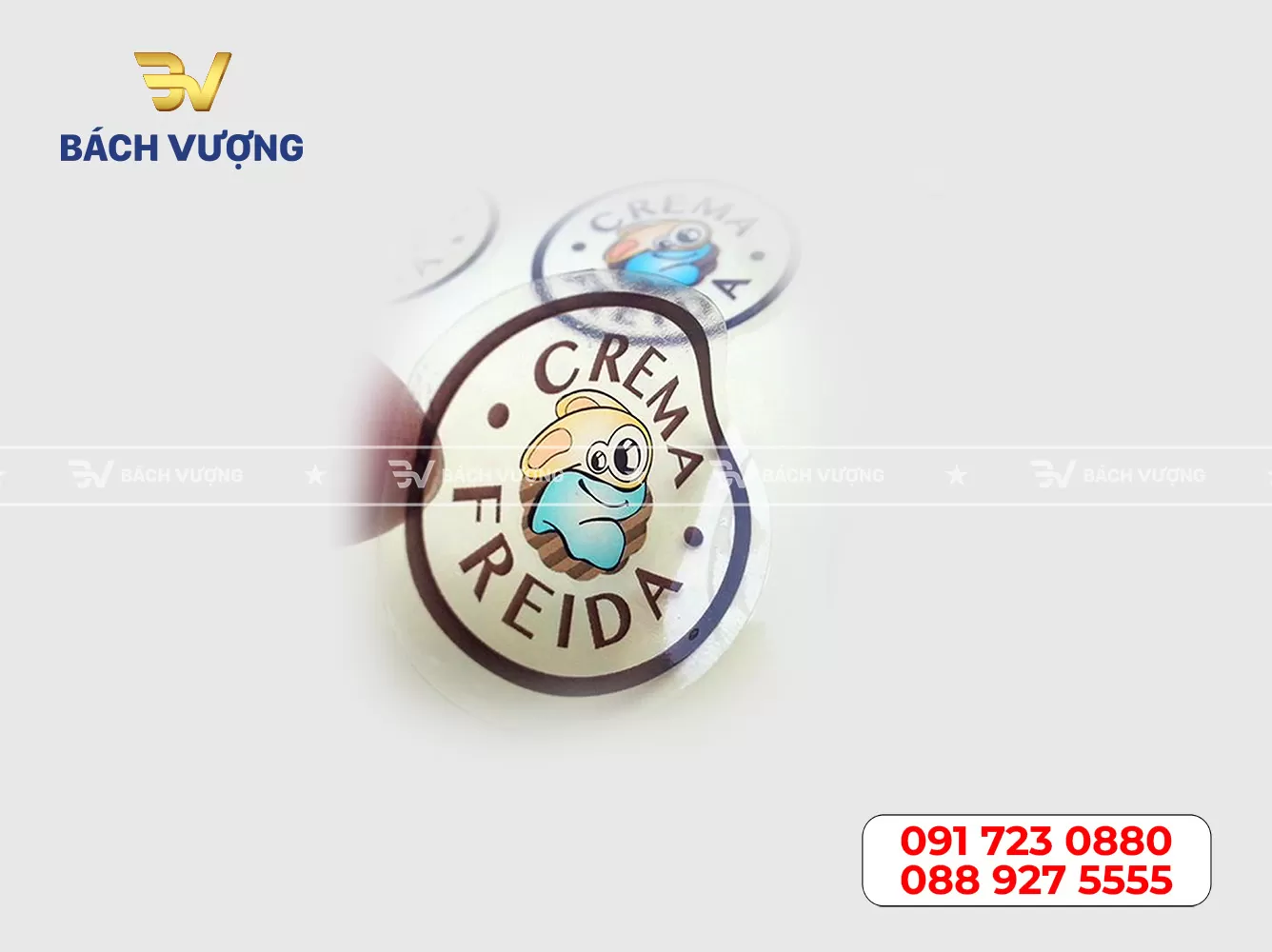 Mẫu decal nhựa trong 08