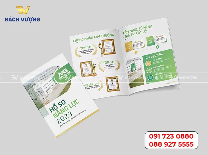 Mẫu hồ sơ năng lực 03