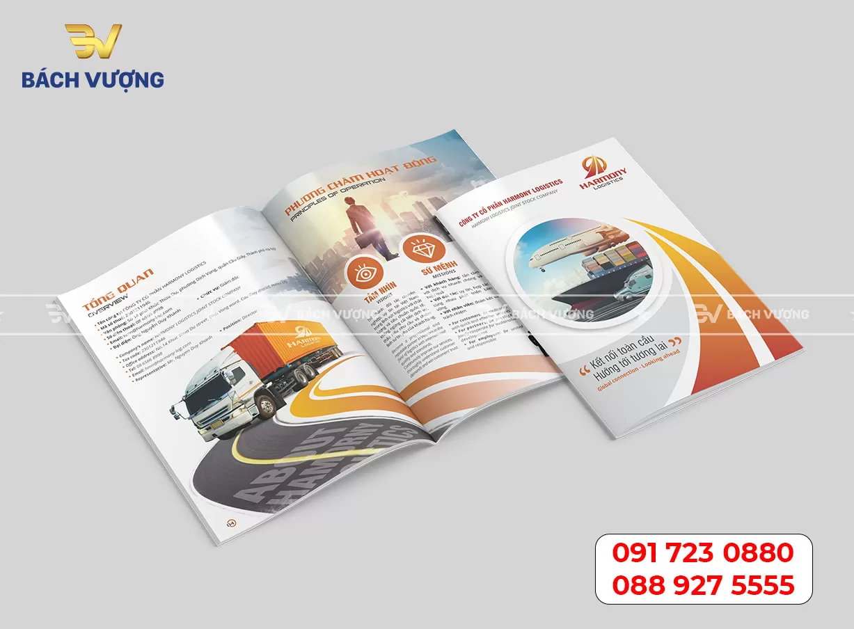 In catalogue giới thiệu sản phẩm