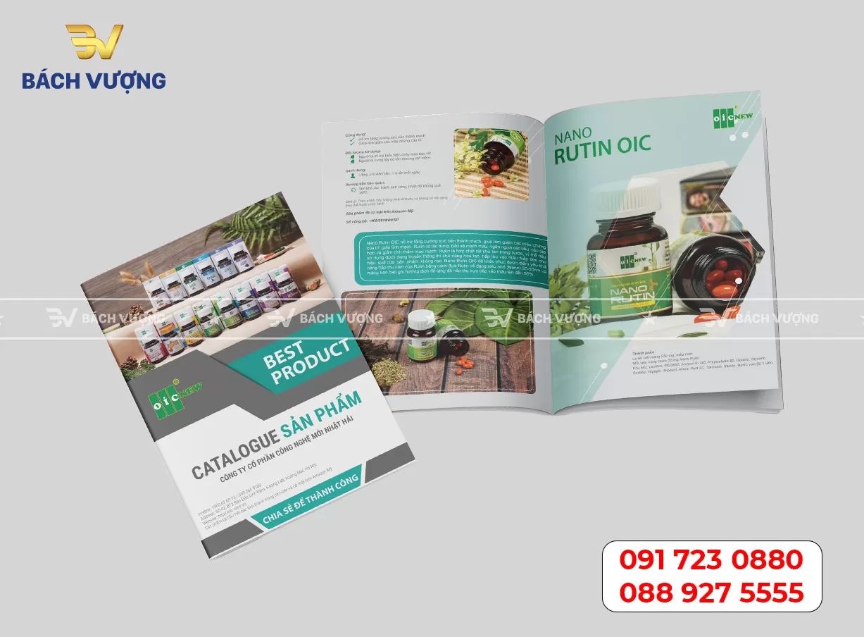 In catalogue giới thiệu sản phẩm