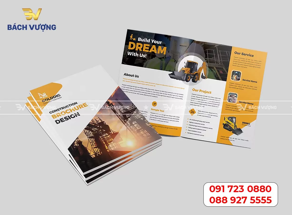 In catalogue báo cáo tài chính