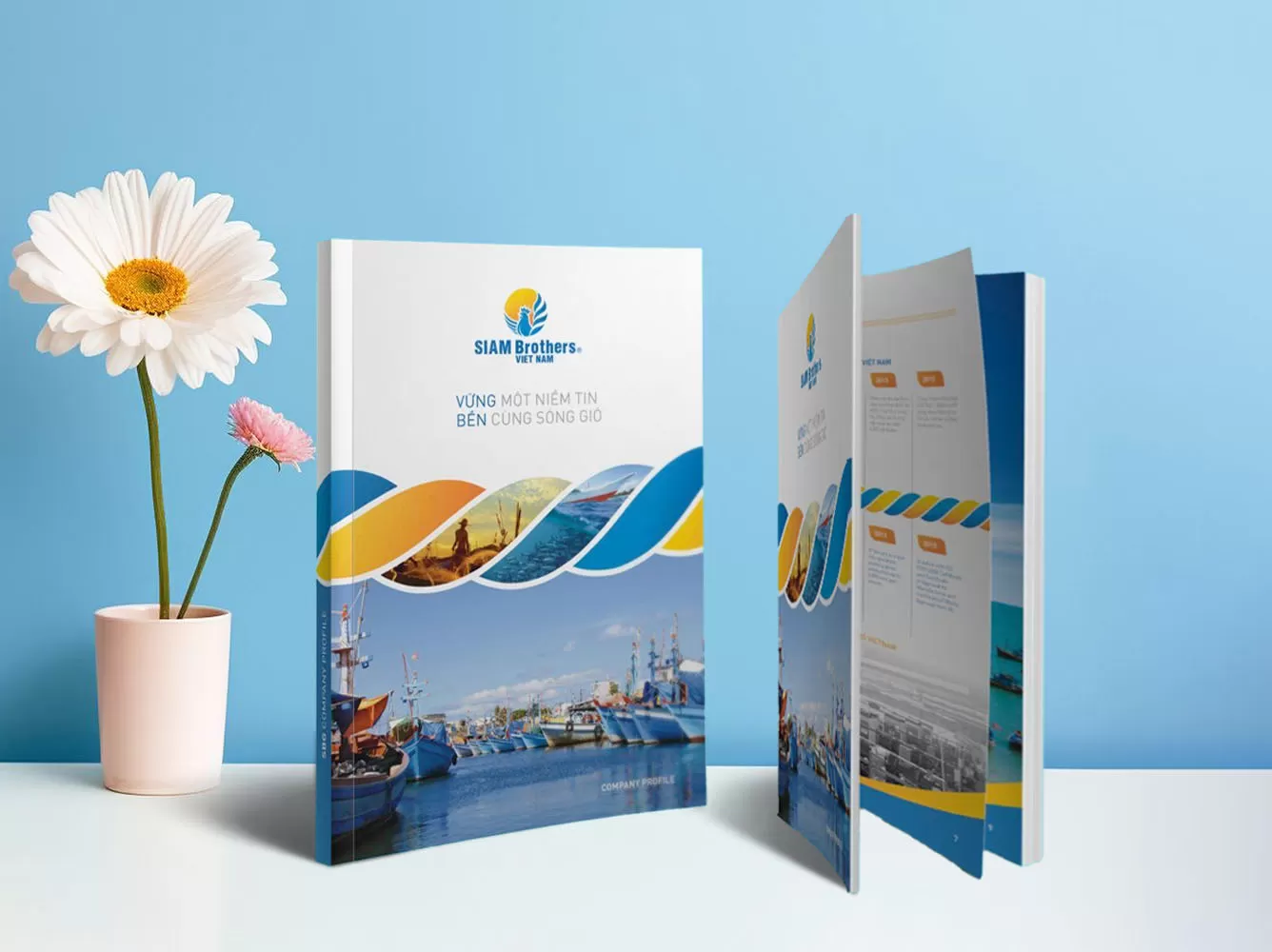 Dịch vụ thiết kế hồ sơ năng lực