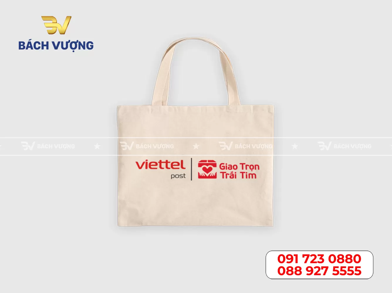 Mẫu túi canvas - 10