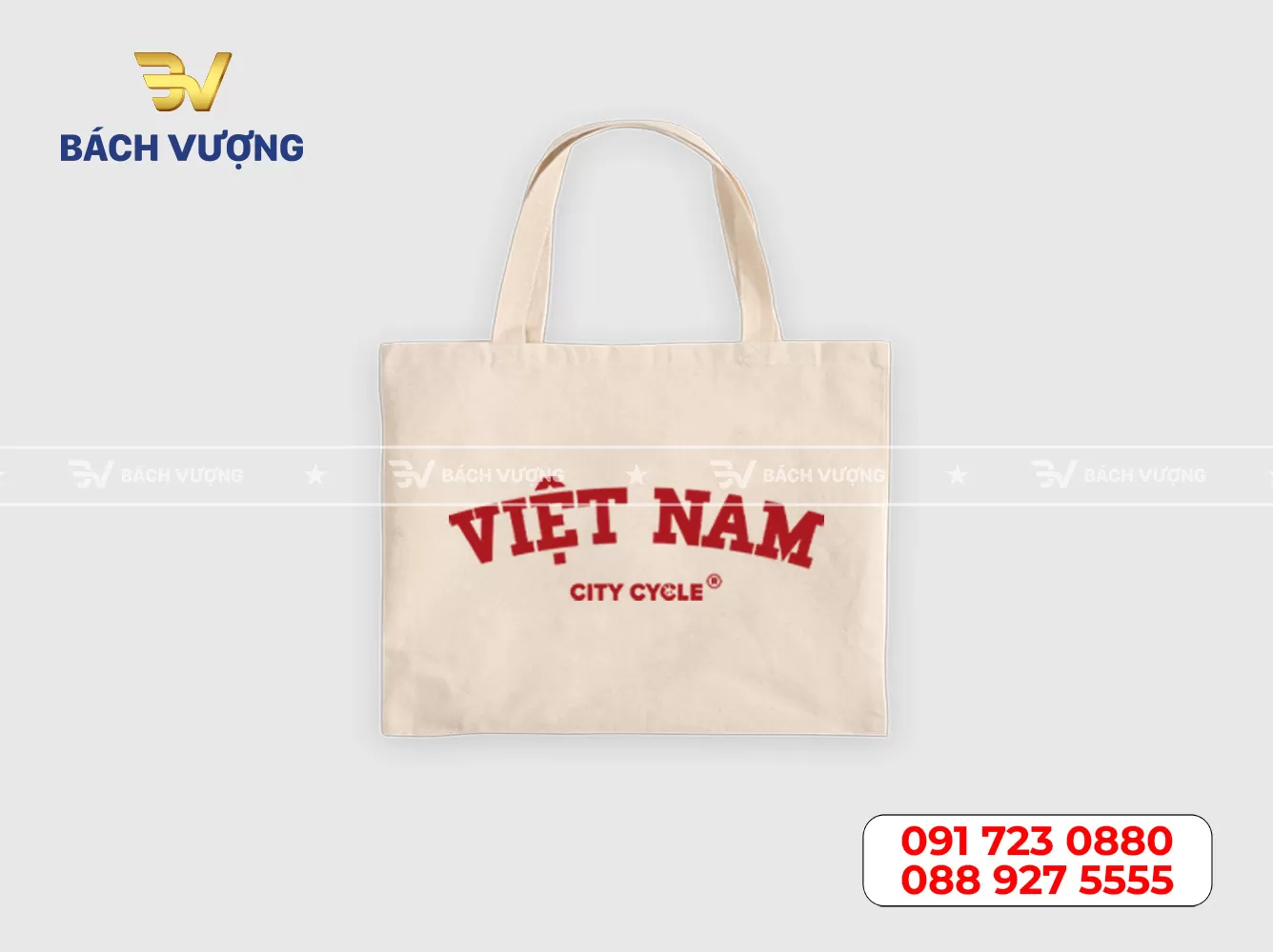 Mẫu túi canvas - 20