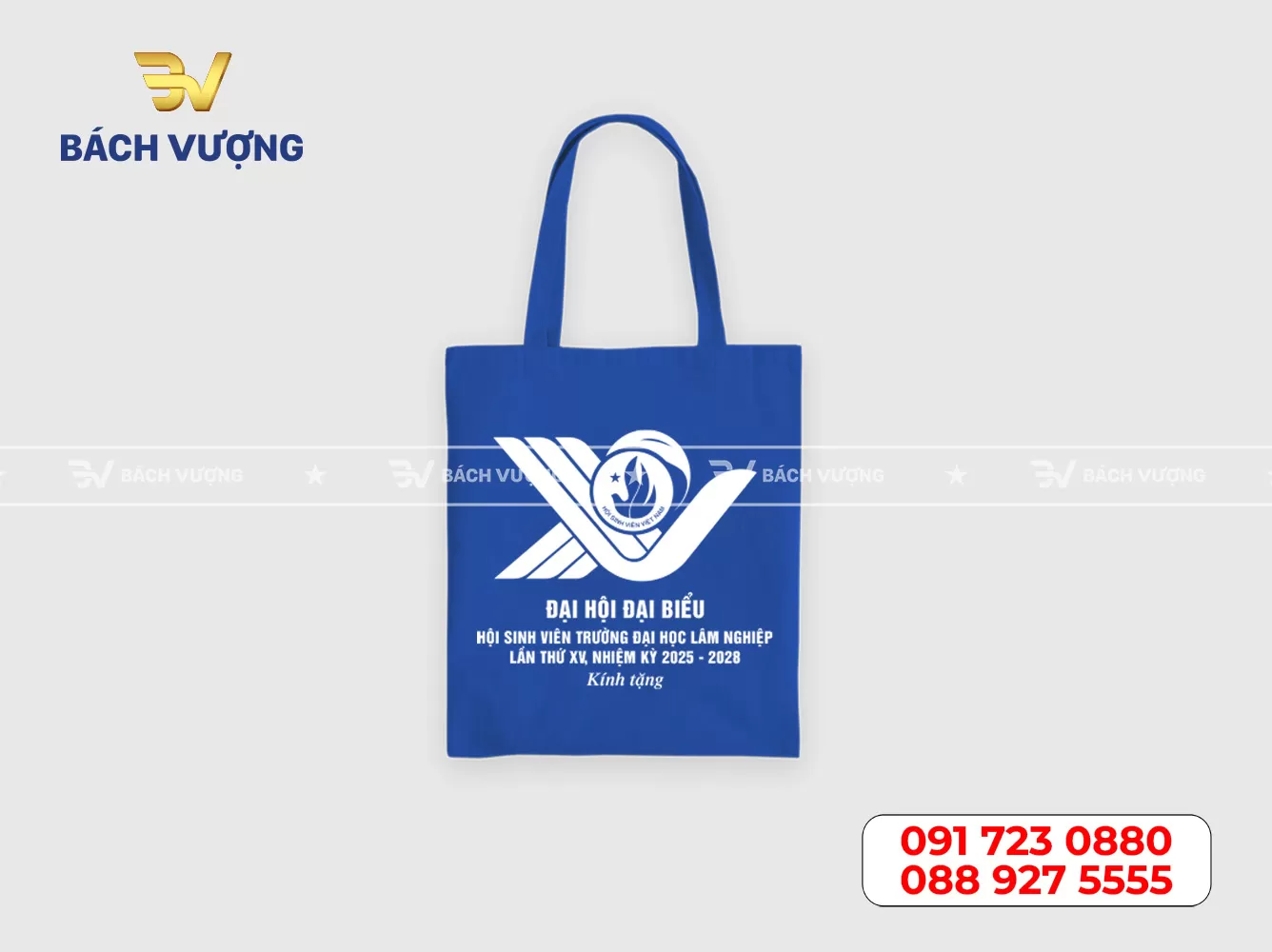 Mẫu túi canvas - 20