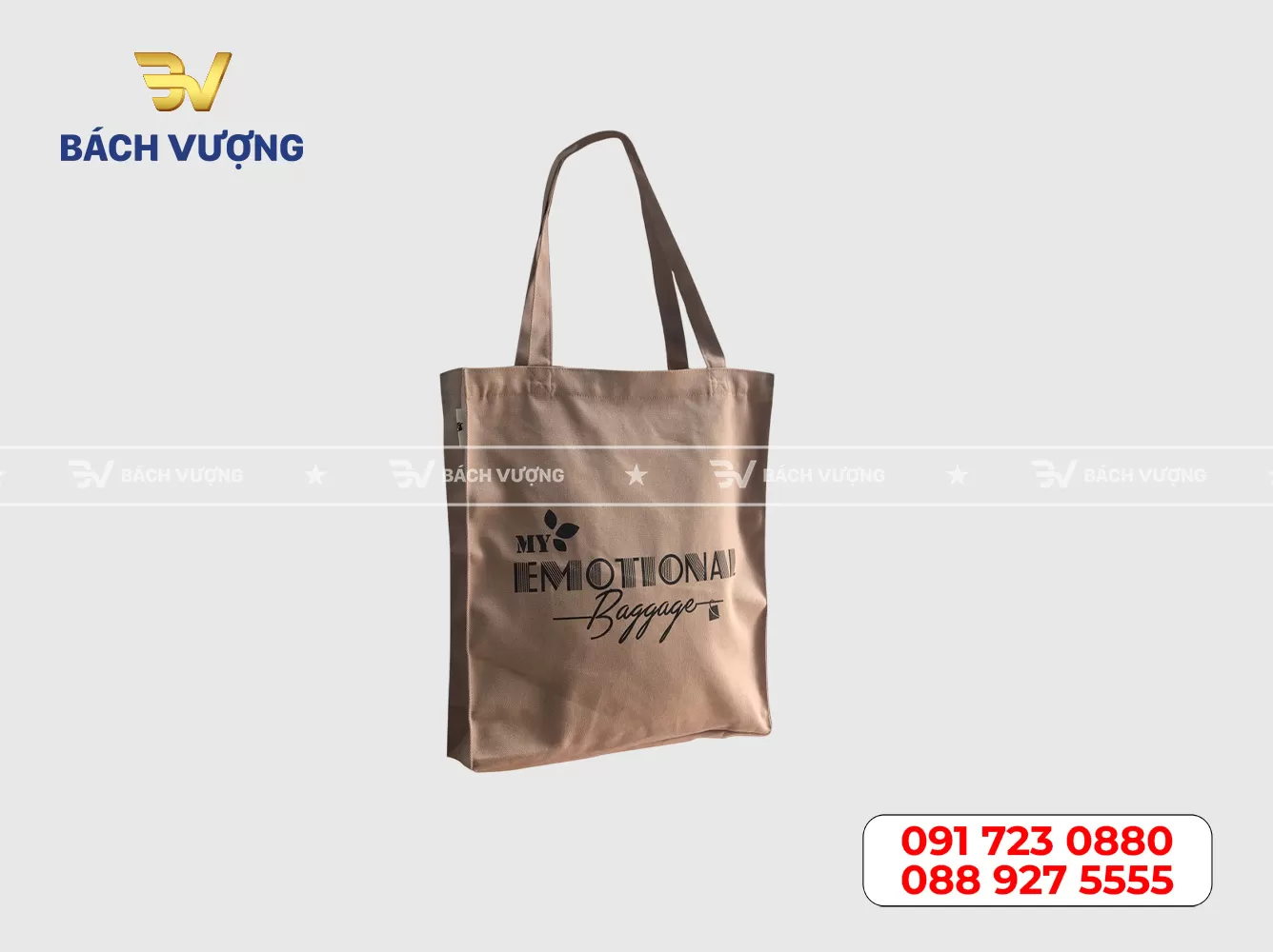 Mẫu túi canvas - 20