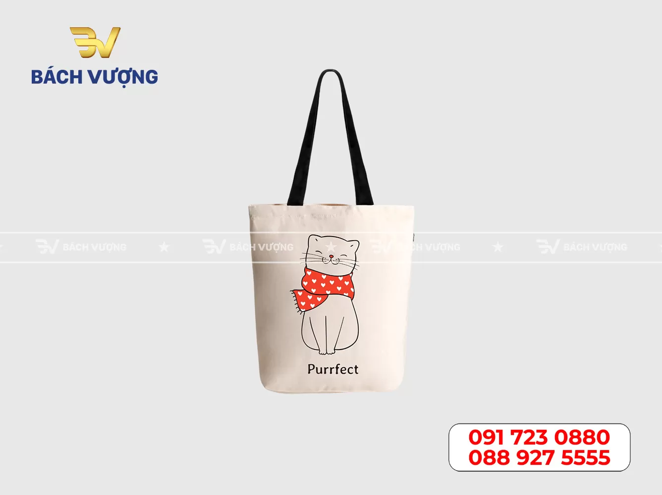 Mẫu túi canvas - 20