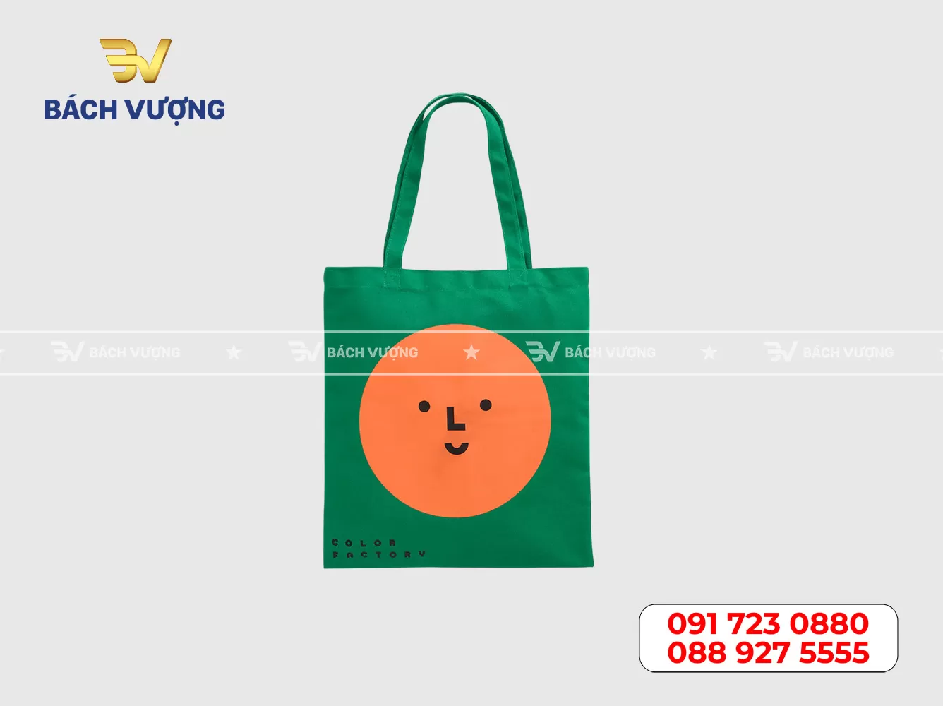 Mẫu túi canvas - 19