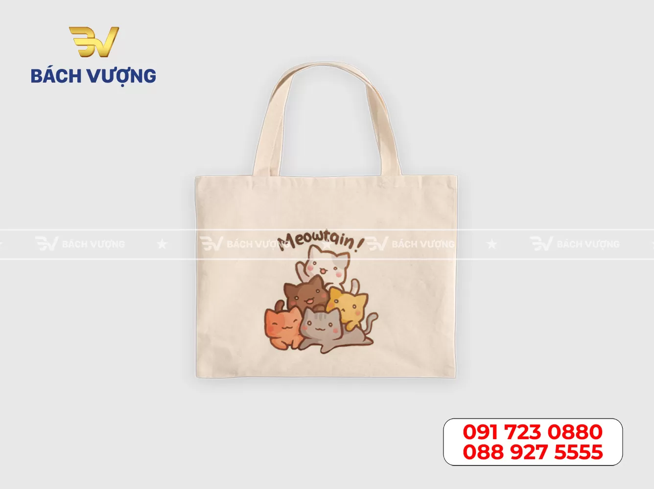 Mẫu túi canvas - 20