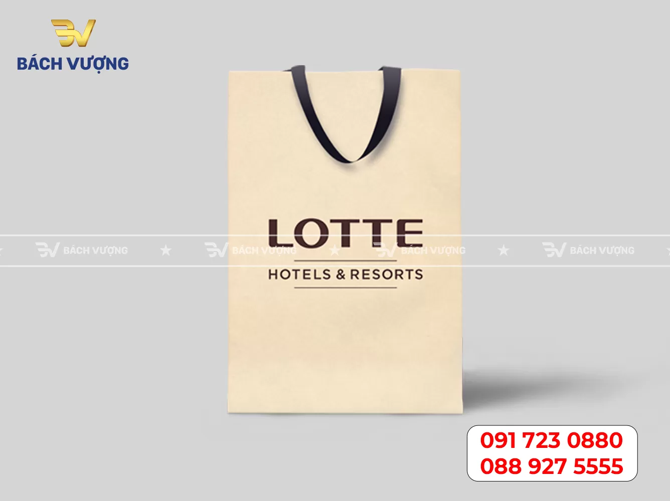 in túi giấy kraft giá rẻ