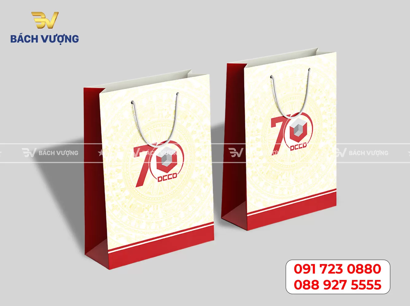 Mẫu túi giấy 15