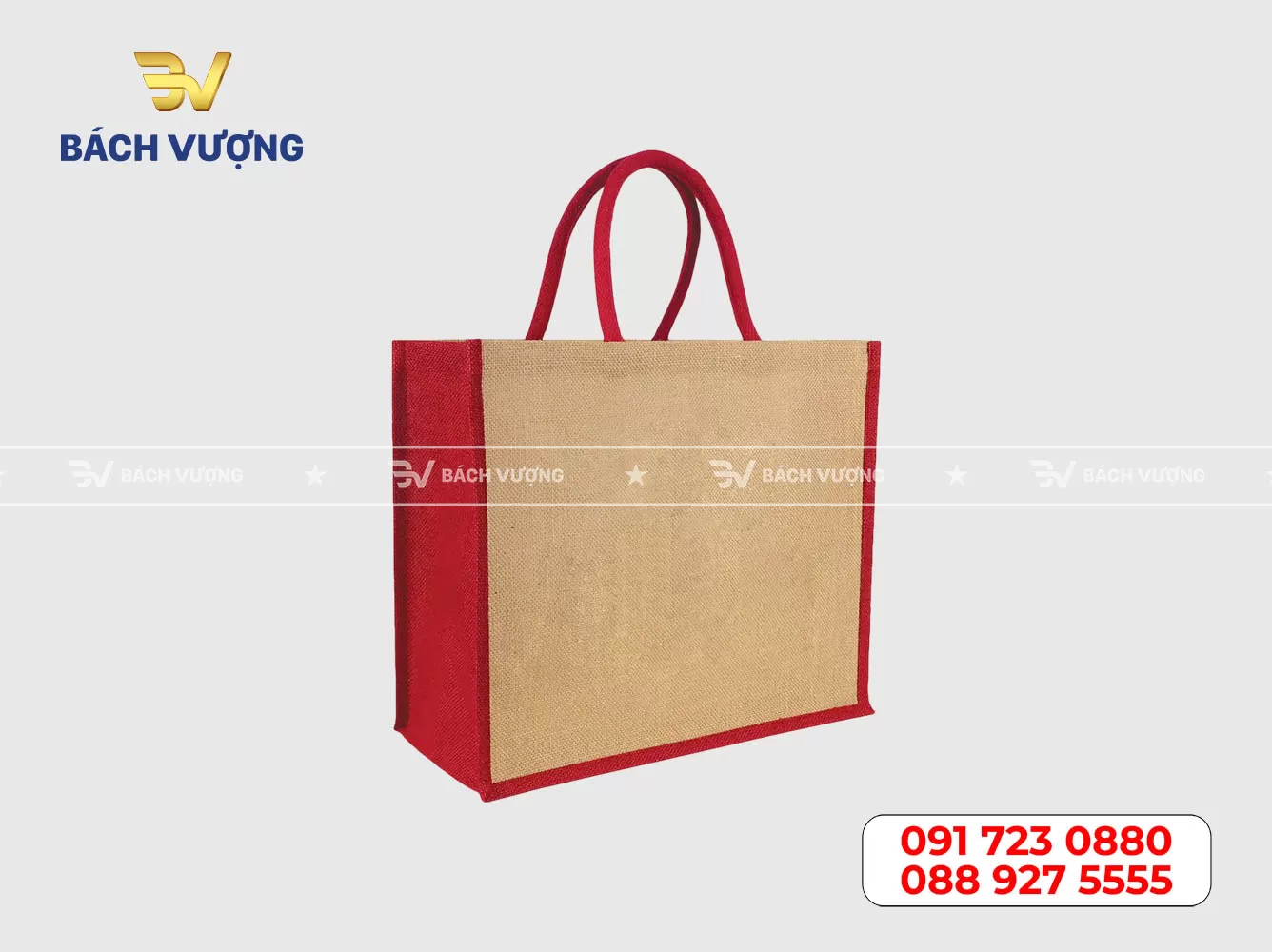 Mẫu túi vải đay 21