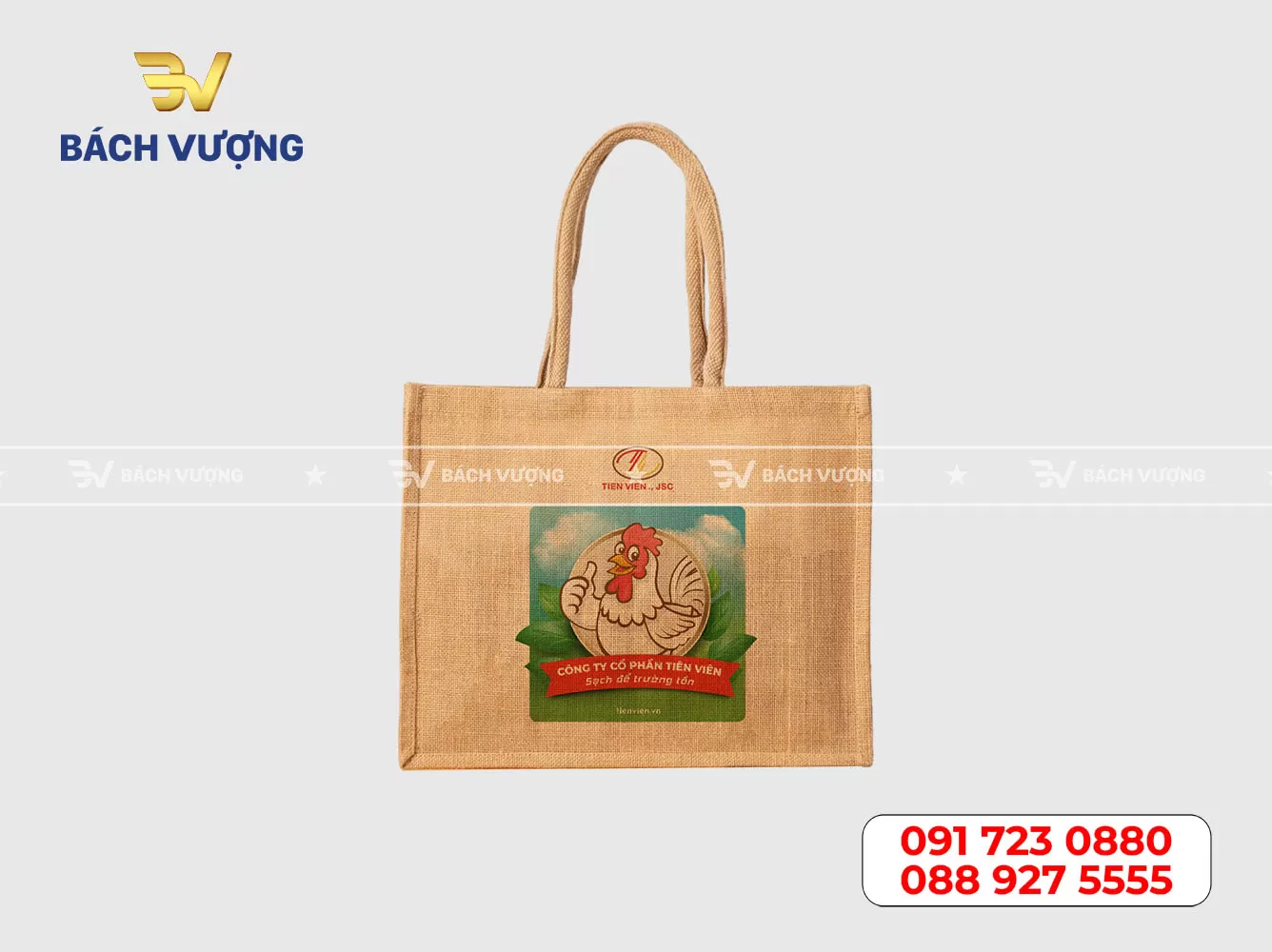 Mẫu túi vải đay 16