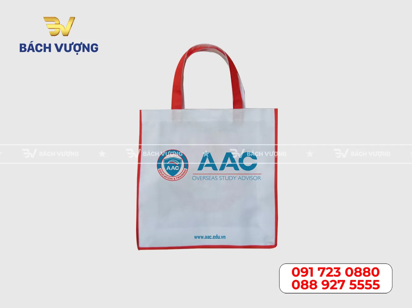 Mẫu túi vải không dệt 20