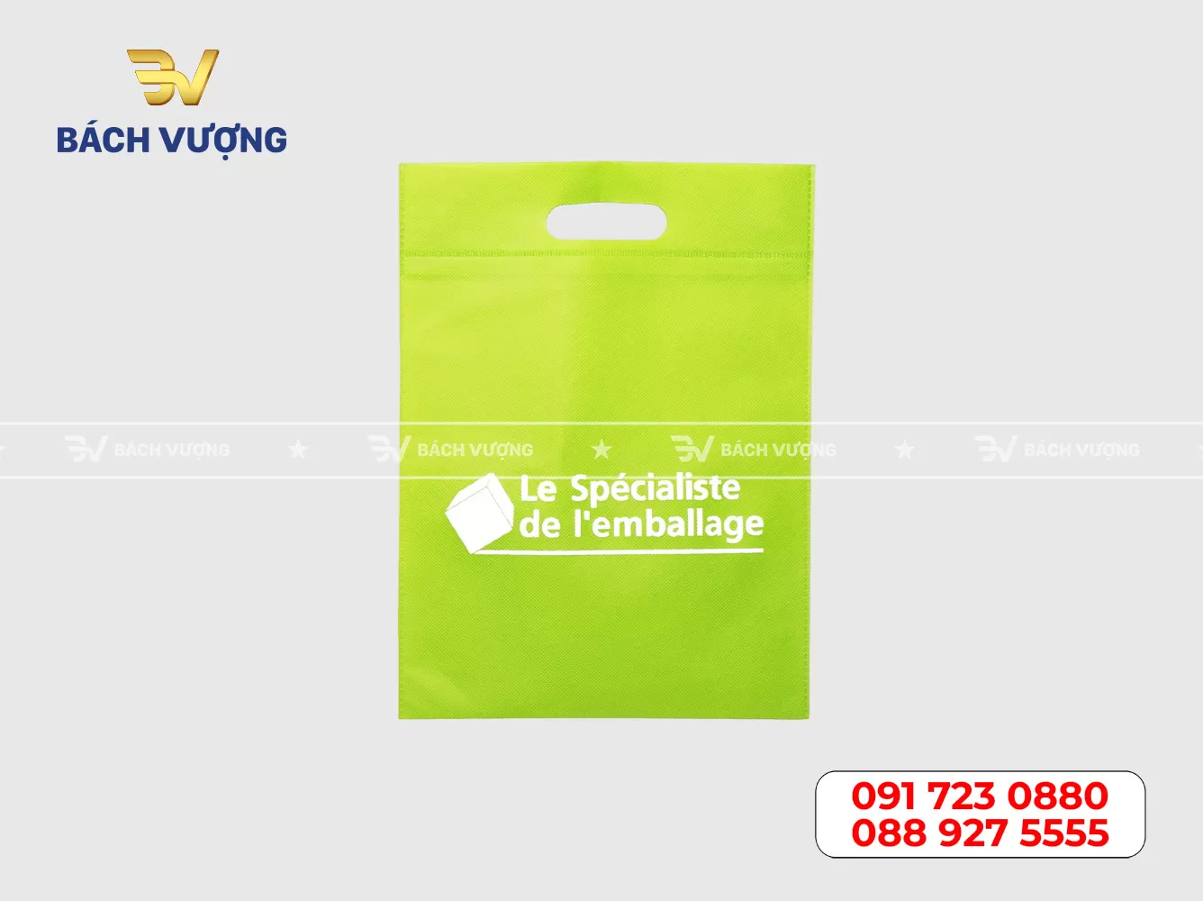 Mẫu túi vải không dệt 20