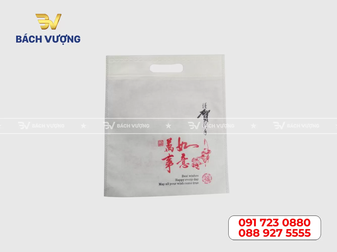 Mẫu túi vải không dệt 20