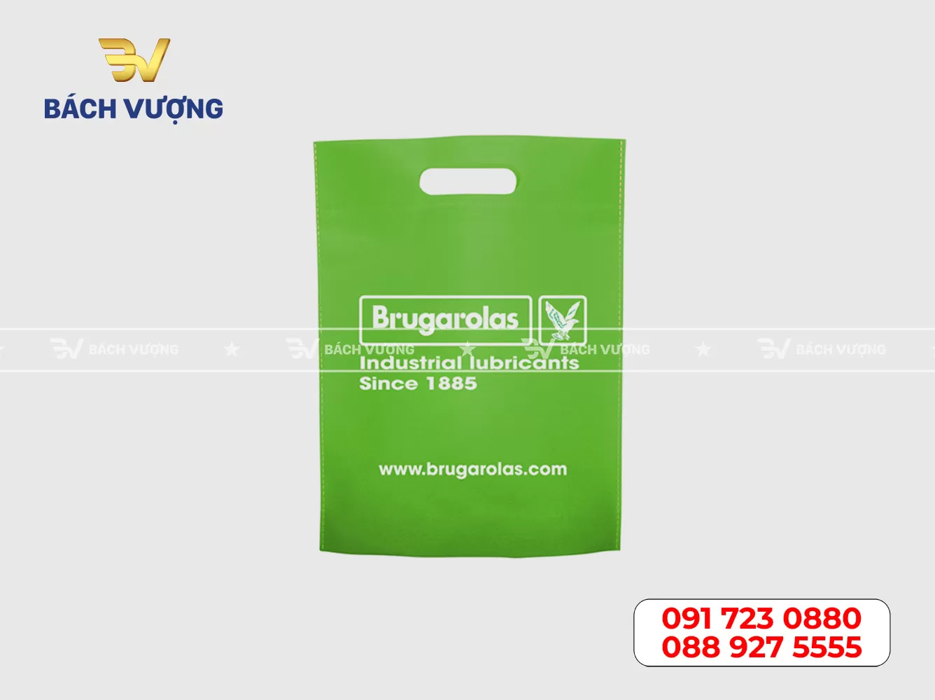 Mẫu túi vải không dệt 11