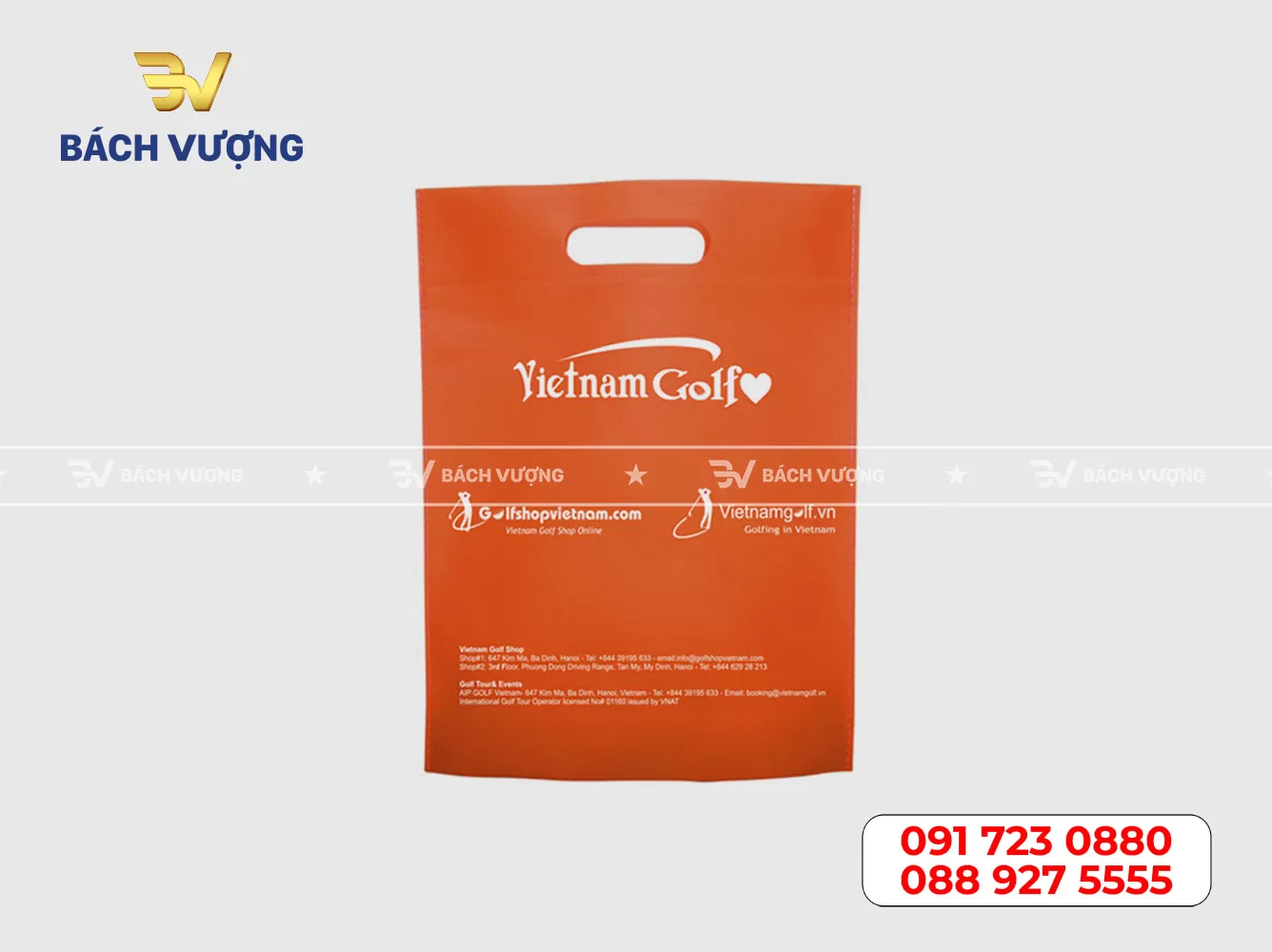 Mẫu túi vải không dệt 20