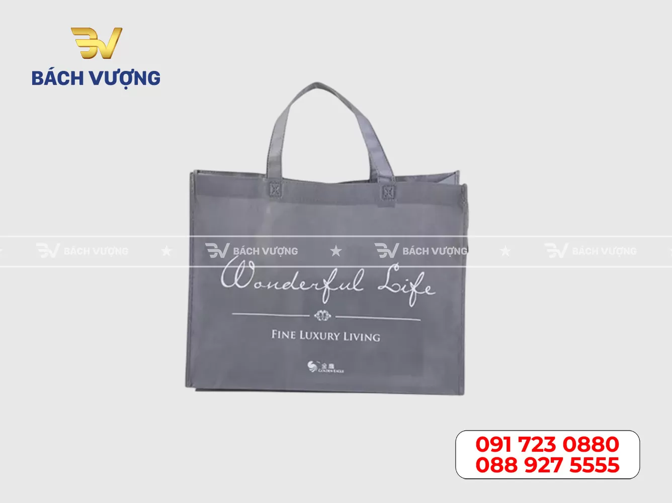 Mẫu túi vải không dệt 06