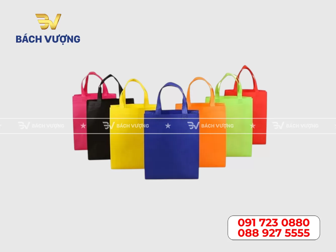 Mẫu túi vải không dệt 20