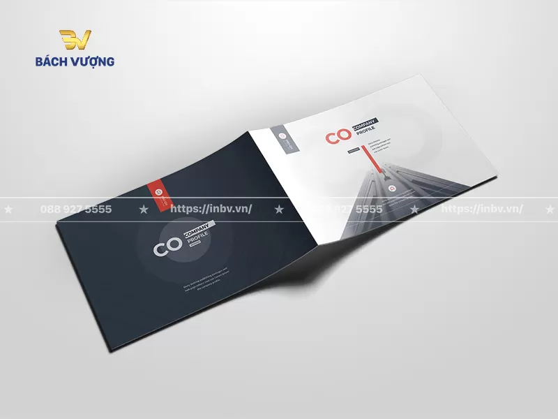 Catalogue giới thiệu công ty