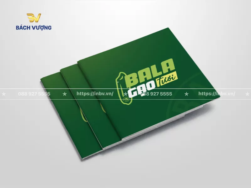 Catalogue mini
