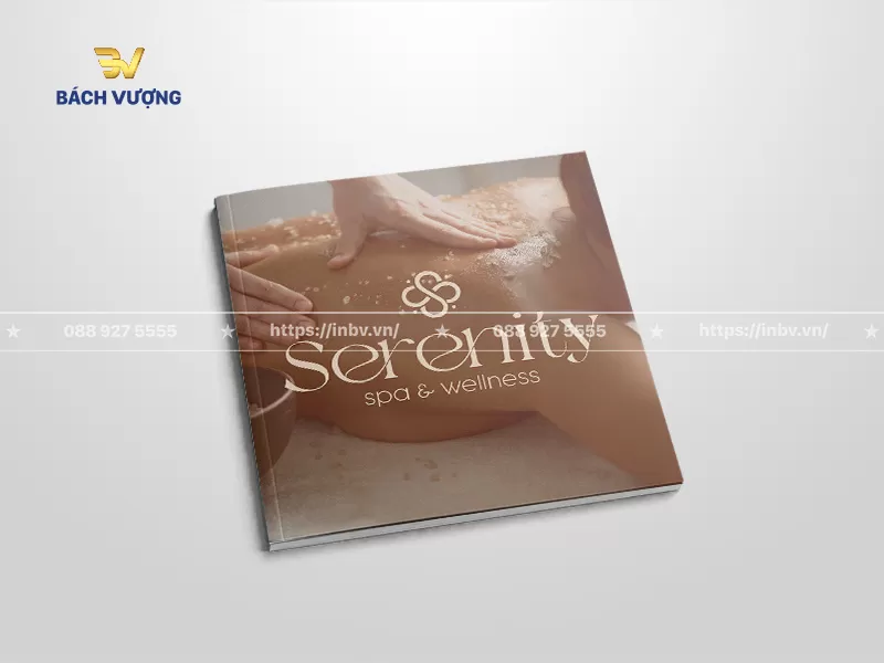 Catalogue spa