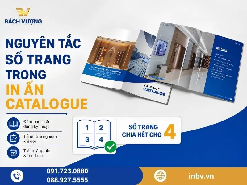 Giải đáp: Lý do số trang catalogue cần chia hết cho 4