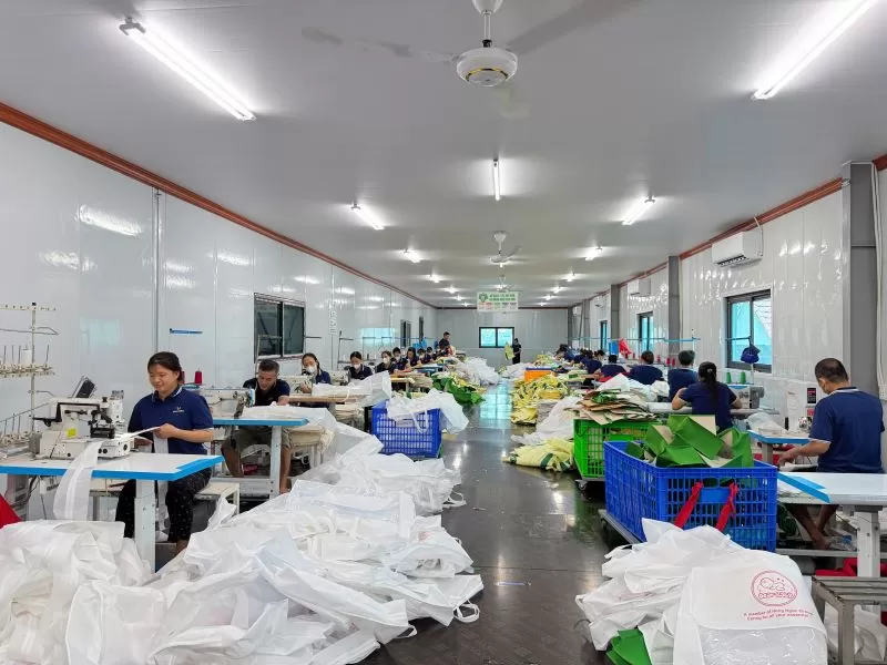 Hệ thống hạ tầng và năng lực sản xuất tại Bách Vượng